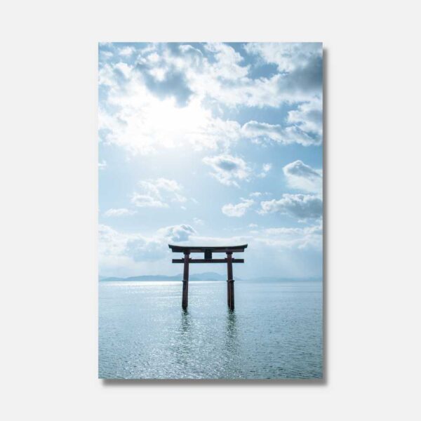 image_1 Náhrdelník ze žraločích zubů Surfer Shorebite